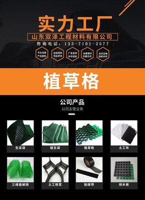 50厚抗壓植草格HDPE 承重能力強(qiáng)施工簡(jiǎn)單 消防車道停車場(chǎng)綠化用