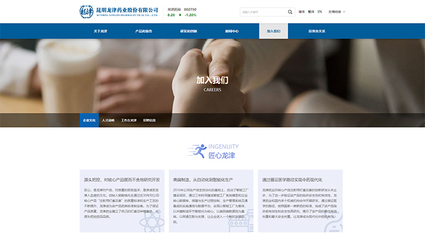 昆明奧遠科技 全方位網(wǎng)絡媒體設計制作解決方案